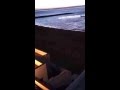 Footage of Spanish incursion at Sandy Bay filmed from Both Worlds