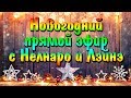 Новогодний прямой эфир с Нелнаро и Лэйнэ 31.12.2018. Ответы на вопросы