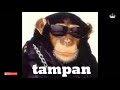 Lagu Lagi Tampan versi kera || by video WA