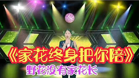 美女唱一首改編歌曲《家花沒有野花香》，句句經典大實話！配音秀【寧靜愛音樂】 - 天天要聞