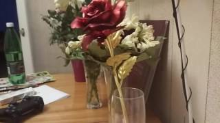 Gearbest Gold Plated Rose Flower^^ by Janis Markevics 610 views 7 years ago 17 seconds