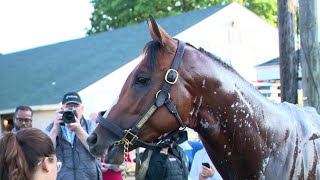 Mystik Dan gets groomed at Churchill Downs after Kentucky Derby 150 win