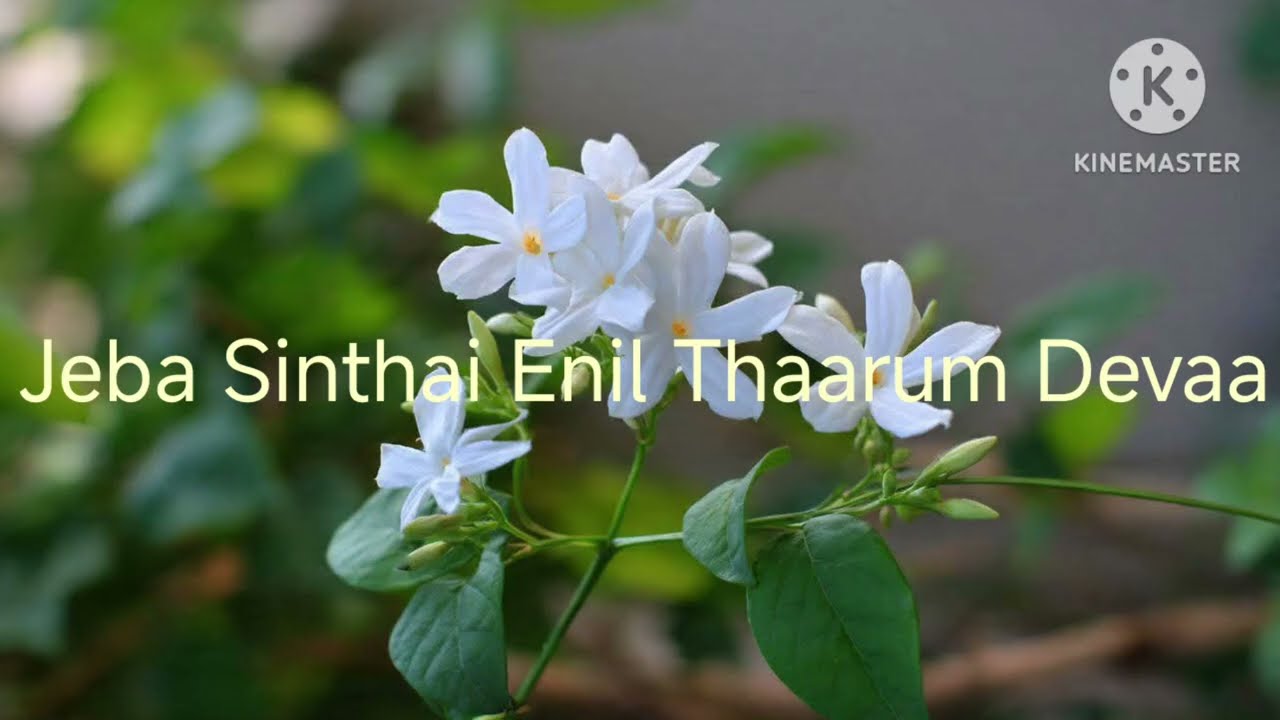Jeba Sinthai Enil Thaarum Deva (With lyrics in my Description box )
