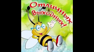 Профессор Веснушкин и КО -  "On line экскурсия по Тюмени"