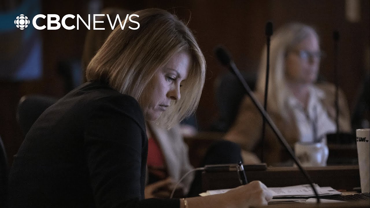 Vancouver councillor criticizes mayor for Task Force Barrage 'PR campaign'