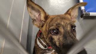 acs A690045