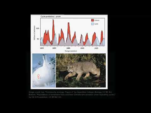 Vidéo: Développement D'une «étiquette Sonar» D'origine Animale Pour Quantifier La Disponibilité Des Proies: Tests De Déploiement Sur Les éléphants De Mer Du Nord