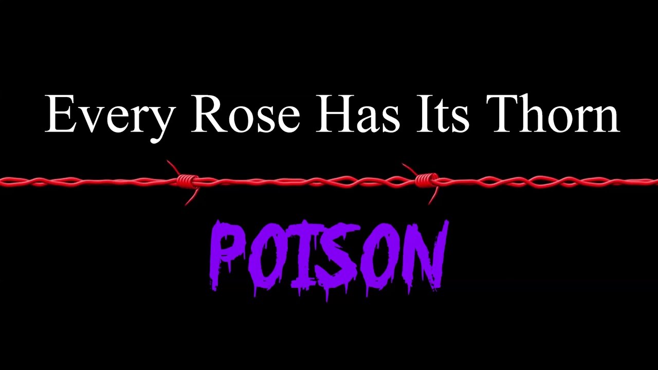 Every Rose Has Its Thorn Poison Lyrics