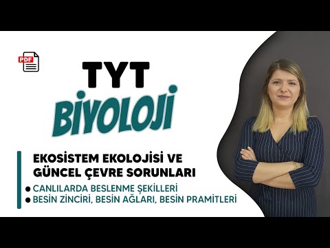 Canlılardaki Beslenme Şekilleri, Besin Zinciri, Besin Ağları, Besin Piramitleri -  TYT Biyoloji 2022