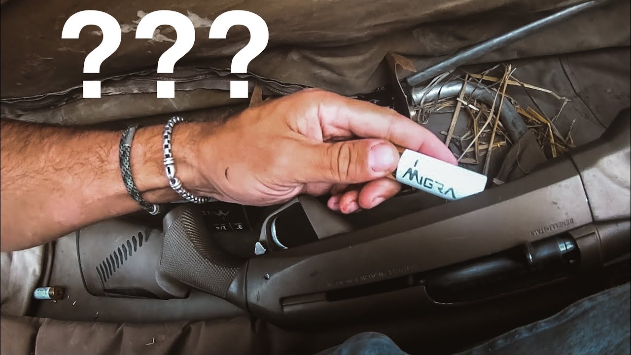 Best WATERFOWL Shotgun Shells? (They hit hard) YouTube