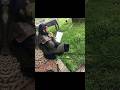 Behind The Scenes Of Ertugrul Ghazi ЁЯШНЁЯе Ertugrulghazi Ertugrul Behindthescene Freepalestine Behind The Scenes Of Ertugrul Ghazi ЁЯШНЁЯе Ertugrulghazi Ertugrul Behindthescene Freepalestine