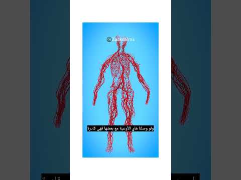 ما هو طول أوعيتك الدموية