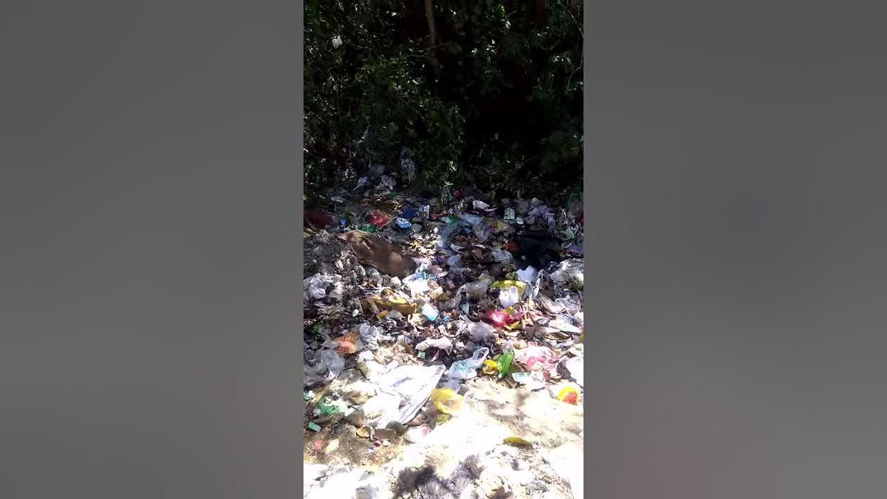 Wastage of hotels - YouTube