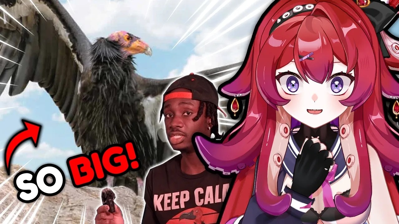 THIS IS WHY CONDORS SHOULD BE YOUR FAVORITE BIRD...  | Casual Geographic Reaction