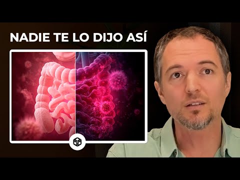 ¿Qué es el SIBO?: síntomas, mitos y qué hacer de verdad