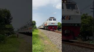 KA Kertanegara CC 203 95 12 PWT #keretaapi #train #keretaapiindonesia #railway #railroad #railways
