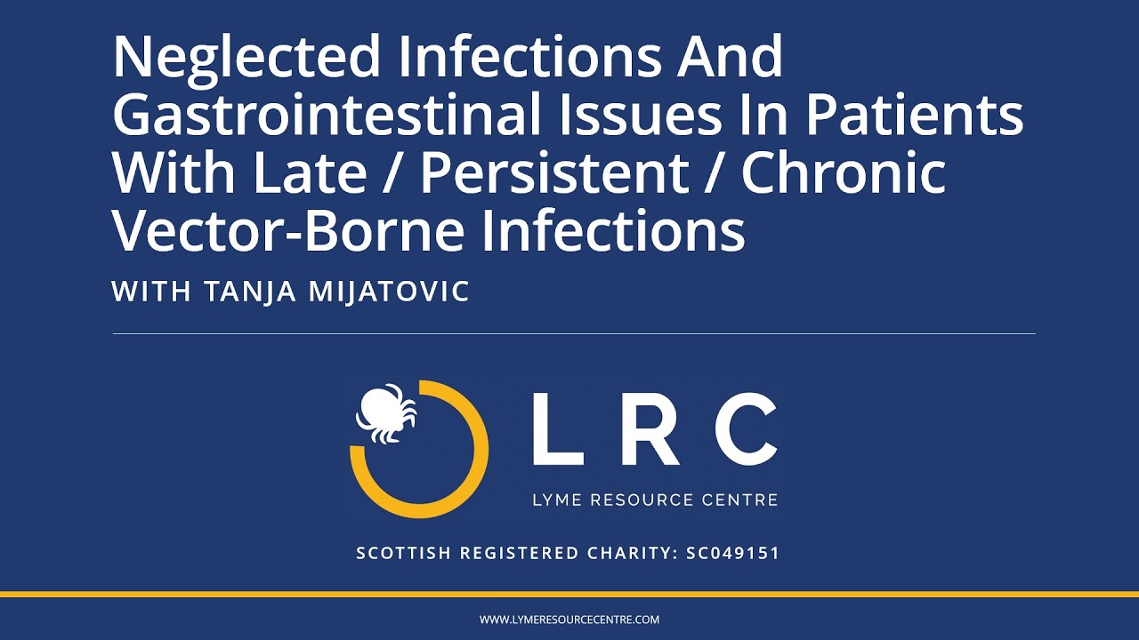Neglected Infections & Gastrointestinal Issues In Patients With Late/Chronic Vector-Borne Infections