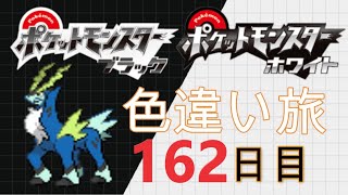 ポケモン配信 色違いのみで殿堂入り目指す ブラックホワイト162日目 Mytubestock