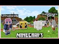 Minecraft But Whoever Collects the Most Mobs Wins...