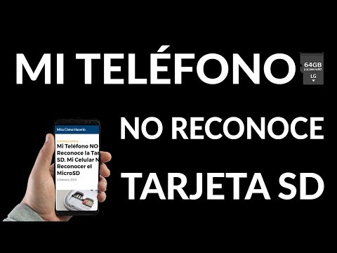 ¿Por Qué Mi Teléfono NO Reconoce la Tarjeta SD?