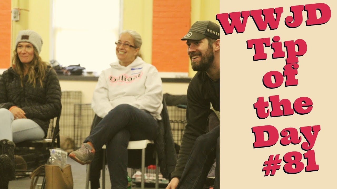 dog training advice uk What Would Jeff Do? Dog Training Tip of the Day #81 State of Mind