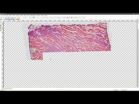 Bandicam 20180827