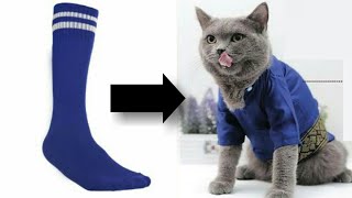 DIY Cara Membuat Baju Kucing Dari Kaos Kaki Bekas | Cat Clothes DIY