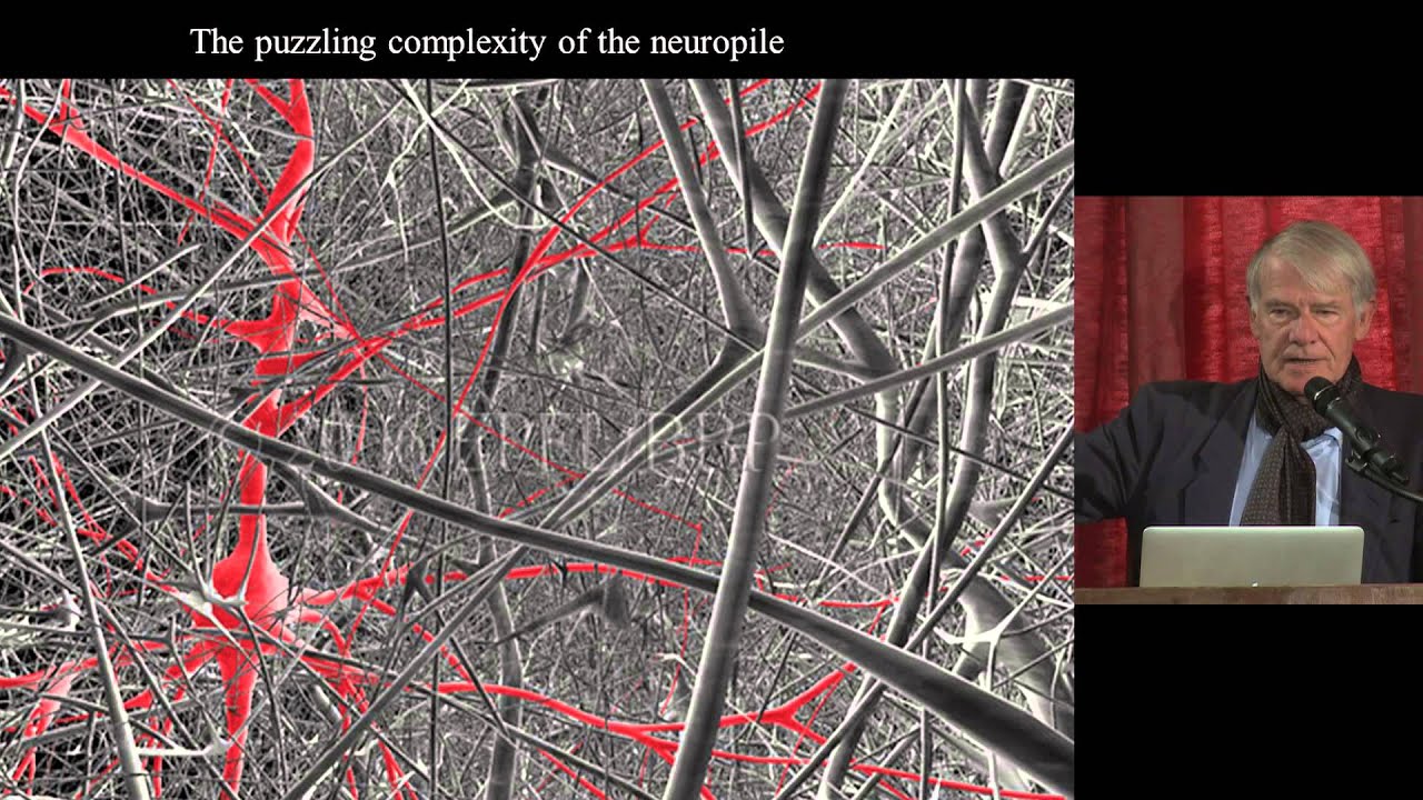 Wolf Singer (Max Planck Inst.): "The Coexistence of the God and the Evil in a Single Brain (...)"