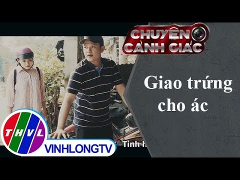 Video THVL | Chuyện cảnh giác: Giao trứng cho ác - youtube