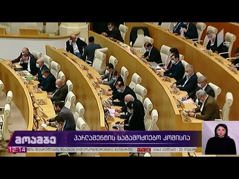 პარლამენტის საგამოძიებო კომისია