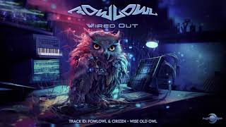 FowlOwl & Cirizen - Wise Old Owl (Original Mix)