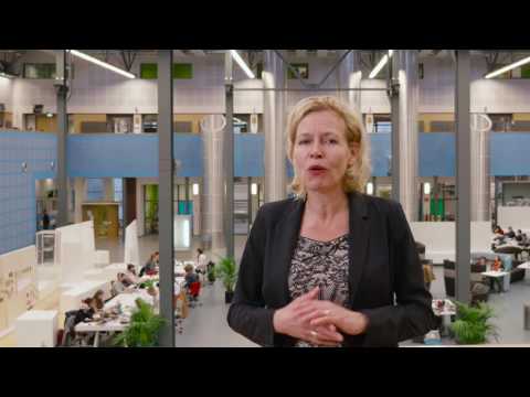 TU Delft -  Pulse + Connecting Element