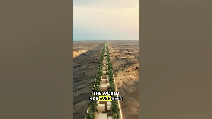 Saudi Arabia's $500BN Mirror Line