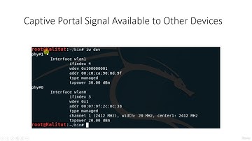 How to gain access to a captive portal 