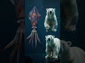 Colossal Squid: Deep Sea Giant You Won’t Believe Exists