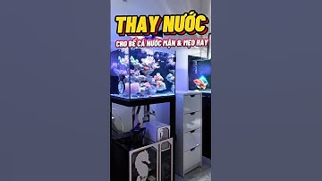 Mẹo hay thay nước cho bể cá san hô nước mặn😍 #aquarium #cacanh #cabien #nemo #reeftank #metub