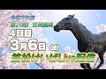 笠松けいばライブ配信R8.03.06