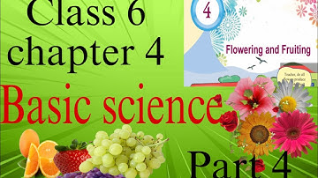 Flowering and Fruiting Explained | Class 6 Basic Science Chapter 4 Malayalam#keralasyllabus 