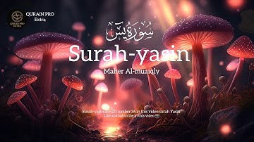الشيخ ماهر المعيقلي سورة ياسين ♥️🥳