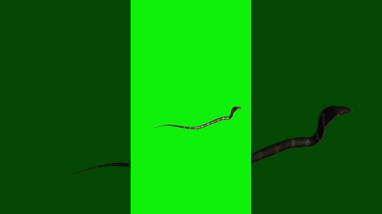 snake running green screen video 2
