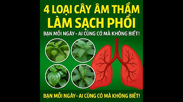 4 Loại Cây Âm Thầm Làm SẠCH PHỔI Bạn Mỗi Ngày – Ai Cũng Có Mà Không Biết