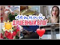 СЕМЕЙНЫЙ ЛЕТНИЙ ВЛОГ: НИКАКОЙ ИЗОЛЯЦИИ - ТЕПЛЫЕ ДНИ И АЛАЯ ПОМАДА / Лучший кондиционер Faberlic