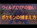 【ポケモンソードシールド】ワイルドエリアの強いポケモン捕まえ方