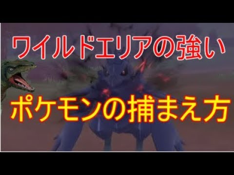 ポケモンソードシールド ワイルドエリアの強いポケモン捕まえ方 Youtube