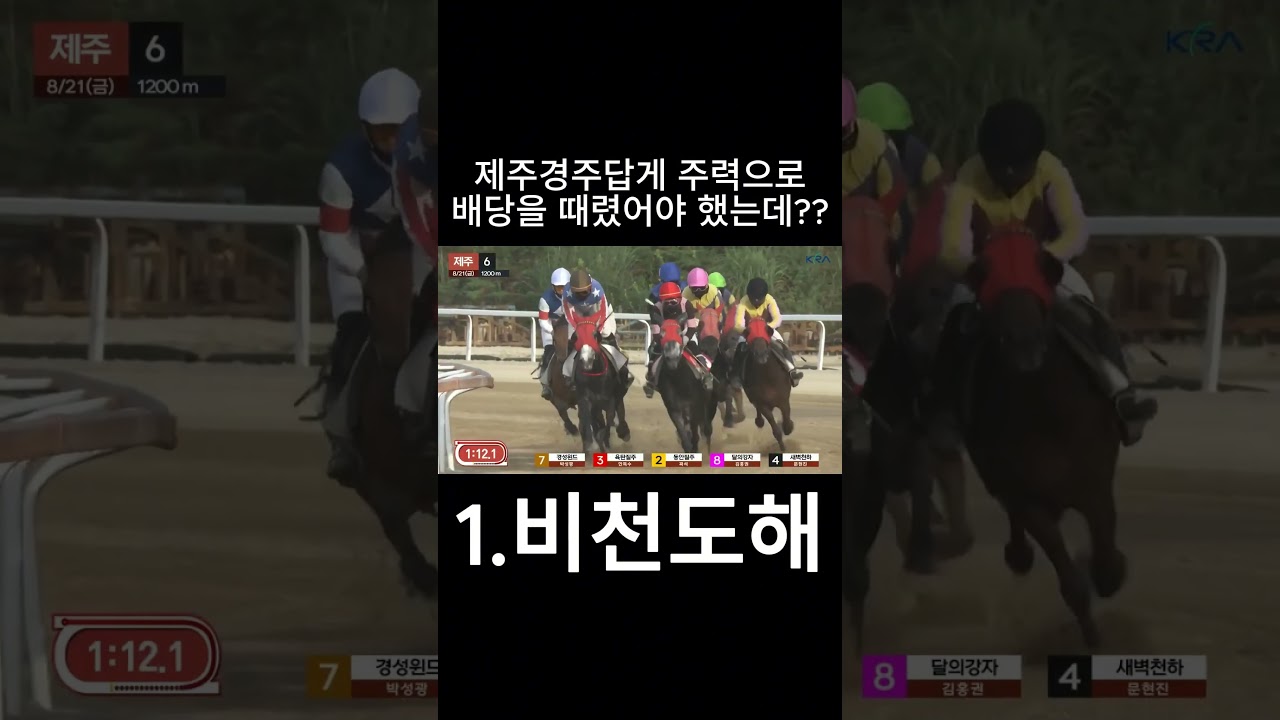 제주경주답게  배당으로 때렸어야 했는데   #경마  #경마예상  #경마방송  #경마예상방송  #서울경마  #금요경마  #토요경마  #일요경마 #경마장
