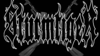 Sturmtiger - For Your Fatherland