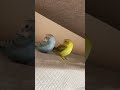 ムーミンの歌にあわせて