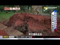 颱風季 樹癌雙重夾擊 路樹成隱形殺手【東森深度報導】@newsebc