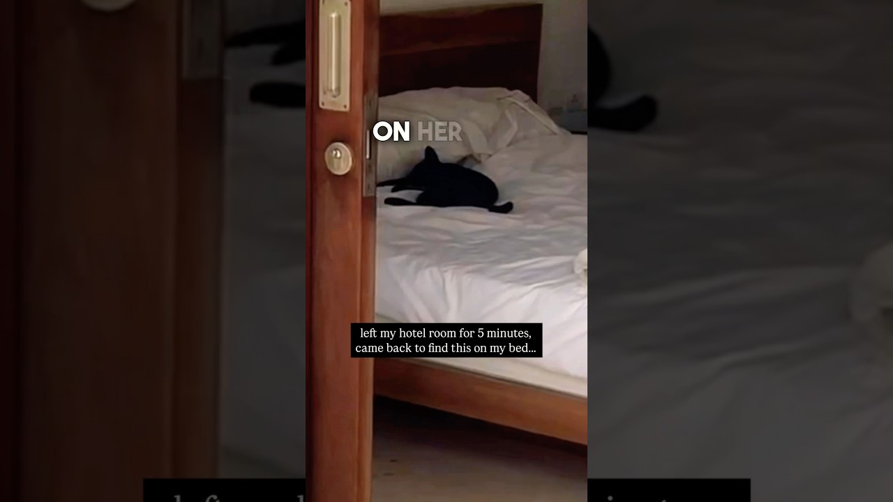 Что-то пробралось в ее гостиничный номер... 😬