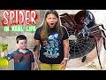 ROBLOX SPIDER IN REAL LIFE! STUCK IN SCARY Roblox GAME! ESCAPE SPIDER ROBLOX!